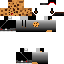 Texture for Zobidesc