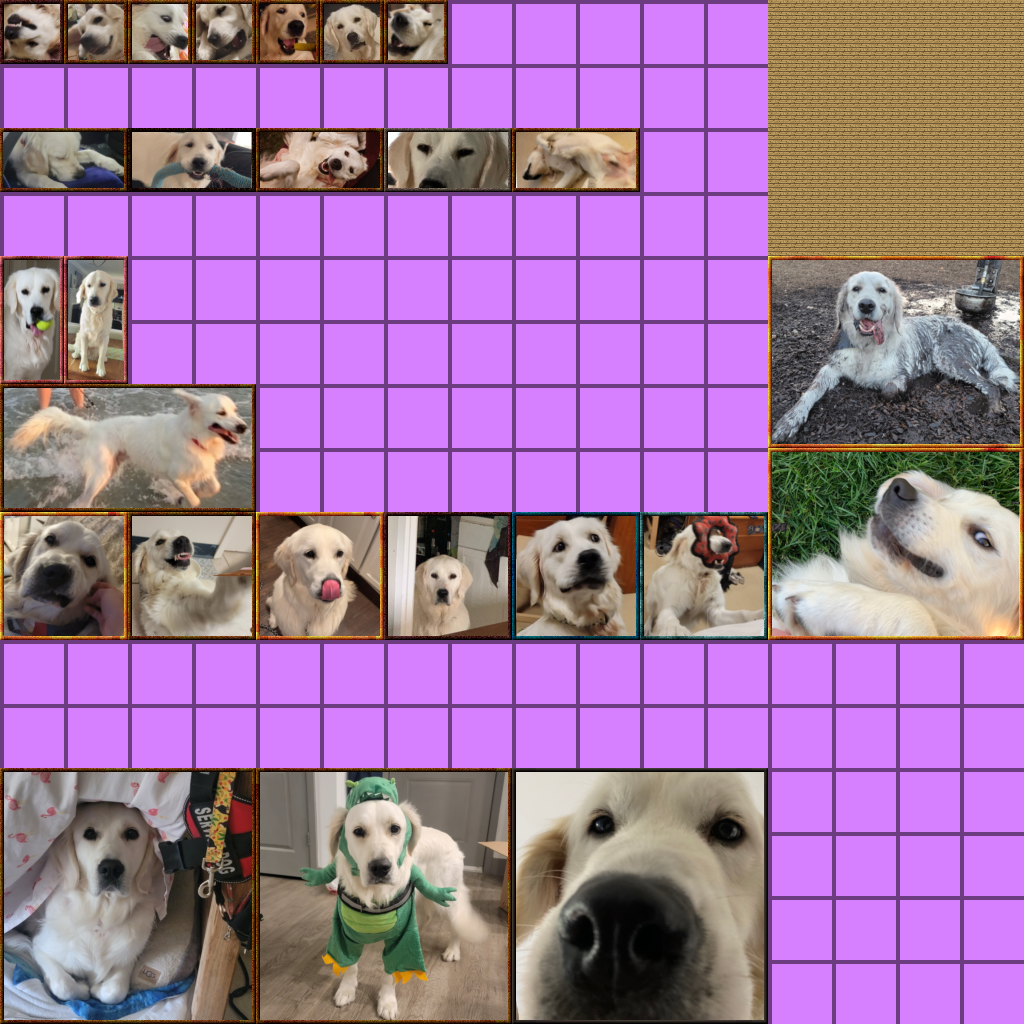 Texture for paintings but its my dog arthur