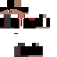 Texture for Griffindor student