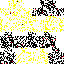 Texture for asd