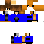 Texture for simba6453
