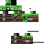 Texture for Enzo