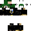 Texture for noob de dsimphony