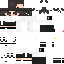 Texture for Ryu Astetic