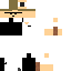 Texture for super manager 2