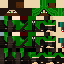 Texture for Robin Hood
