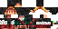 Texture for DarkLink