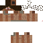 Texture for primitive