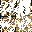 Texture for lol