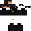Texture for  t