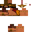Texture for ts
