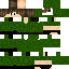 Texture for Скин майнкрафте
