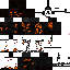 Texture for  steve