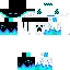 Texture for Steve