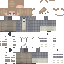 Texture for leon