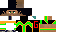 Texture for gregarakis