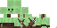 Texture for Rapi