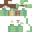 Texture for Turtle