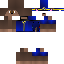 Texture for Chase