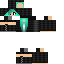 Texture for steve