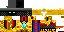 Texture for ds