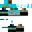Texture for hatsune stevu