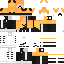 Texture for STEVE