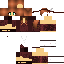 Texture for Flapper Bird
