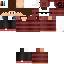 Texture for Parqueet