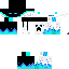 Texture for enderbros