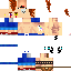 Texture for DaCoSS