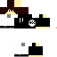 Texture for HUGO