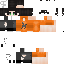 Texture for leo