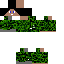 Texture for ALLAN