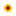 Texture for sunflower