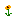 Texture for cream poppys