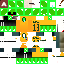 Texture for Green Diamond Skeepy Noob