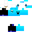Texture for LidorGamer100