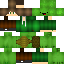 Texture for knm