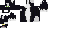 Texture for black cat