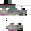 Texture for pidgeon hat