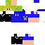 Texture for v1