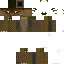 Texture for Lizard