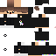 Texture for steve