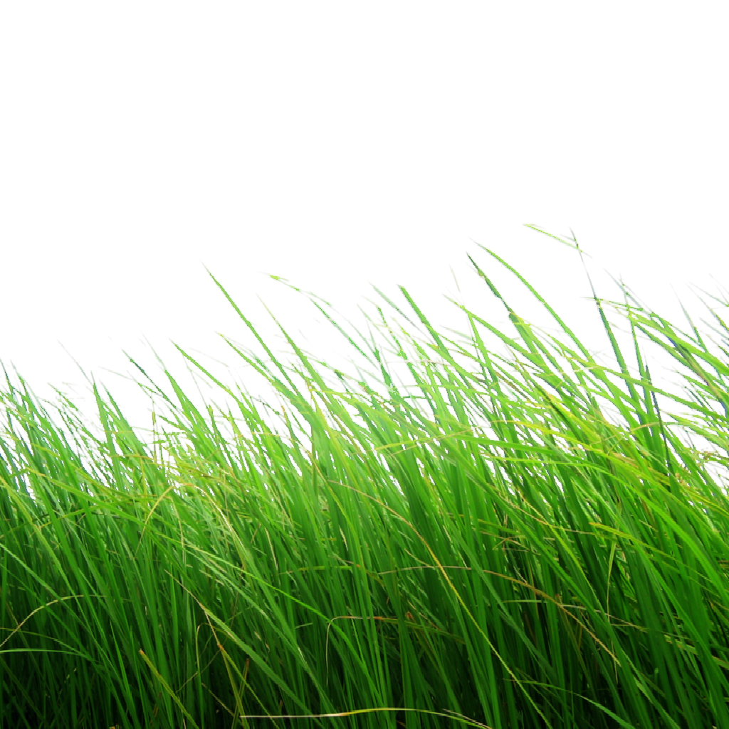 Texture for double_grass_bottom