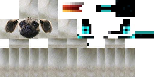 Texture for dog