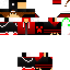 Texture for DS