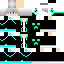 Texture for 5(c)