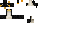 Texture for Penguin test 2