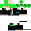 Texture for Mint999